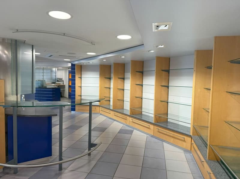 Multi-purpose commercial premises in a good traffic location (8)