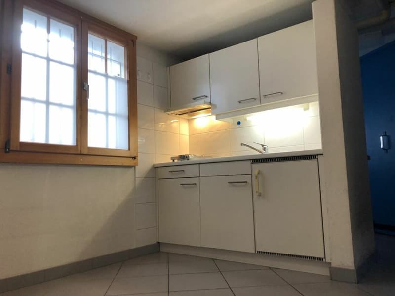 Multi-purpose commercial premises in a good traffic location (11)
