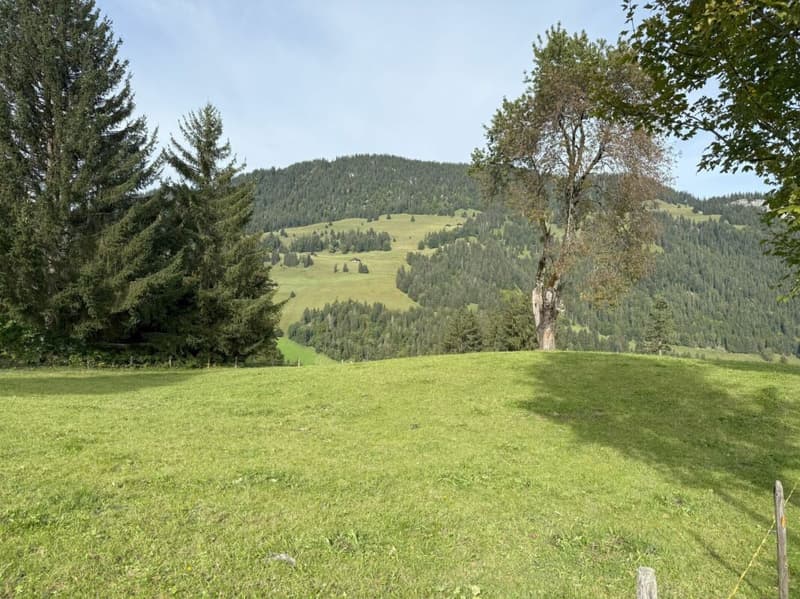 Terrain à bâtir dans un endroit ensoleillé et pittoresque à Zweisimmen (Rinderberg) (1)