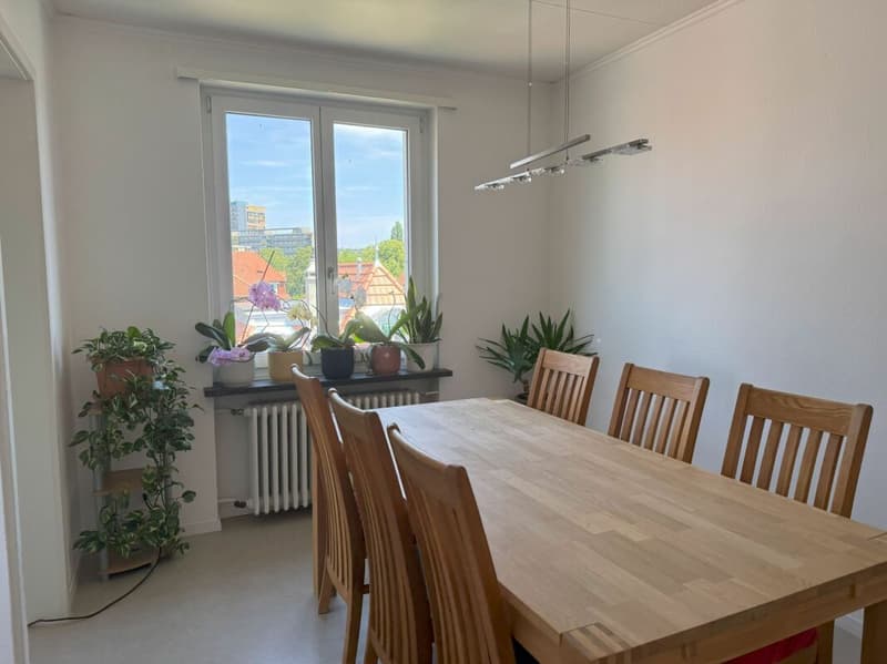Living in Bern in a very beautiful, sunny, and quiet neighborhood with a lot of green spaces (7)