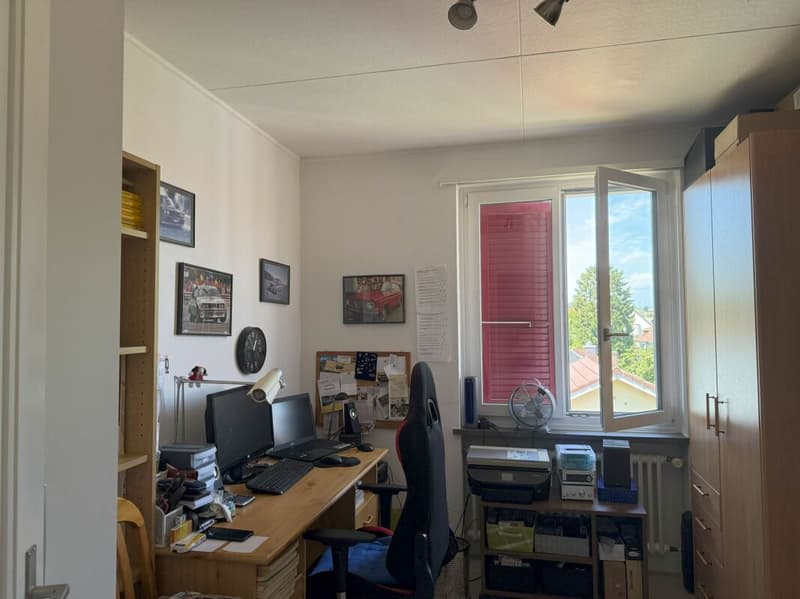 Living in Bern in a very beautiful, sunny, and quiet neighborhood with a lot of green spaces (13)