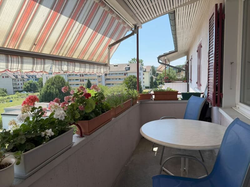Living in Bern in a very beautiful, sunny, and quiet neighborhood with a lot of green spaces (16)