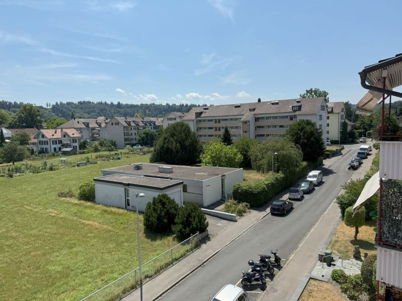 Living in Bern in a very beautiful, sunny, and quiet neighborhood with a lot of green spaces (18)