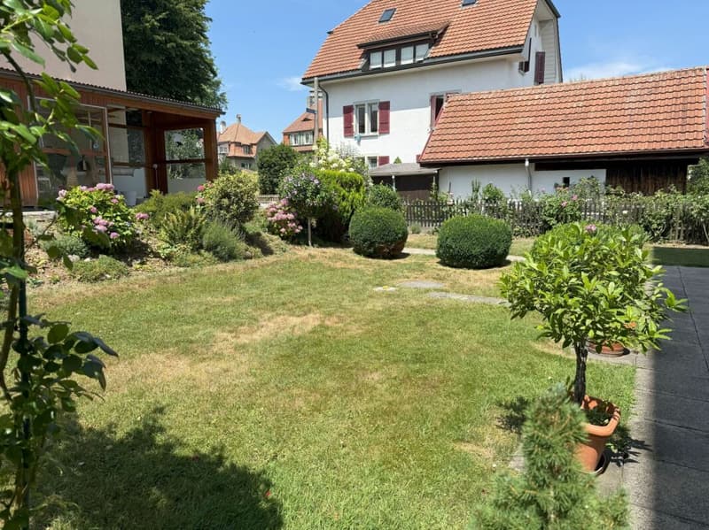 Living in Bern in a very beautiful, sunny, and quiet neighborhood with a lot of green spaces (4)