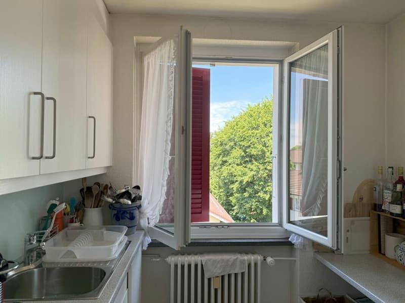 Living in Bern in a very beautiful, sunny, and quiet neighborhood with a lot of green spaces (9)
