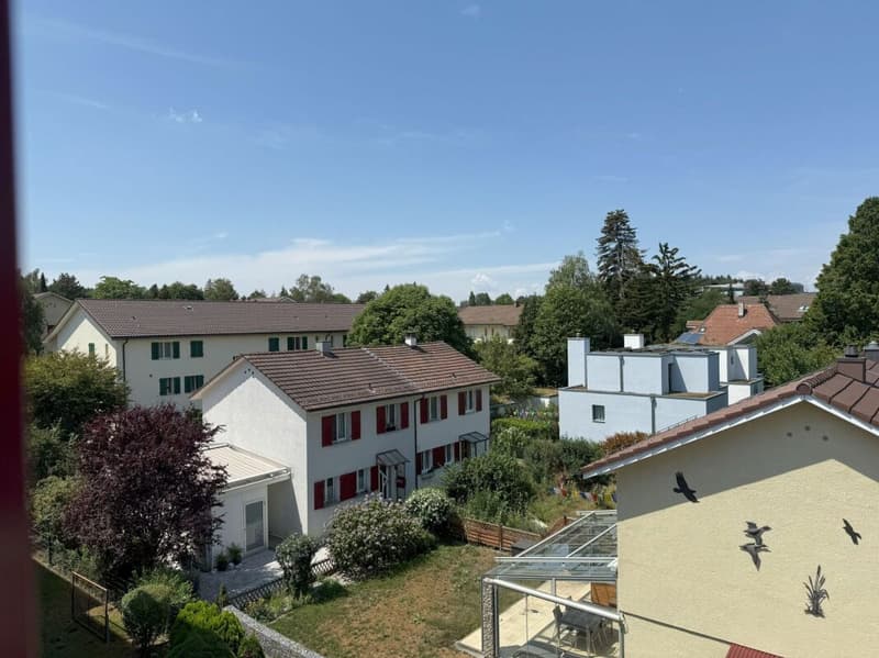 Living in Bern in a very beautiful, sunny, and quiet neighborhood with a lot of green spaces (11)