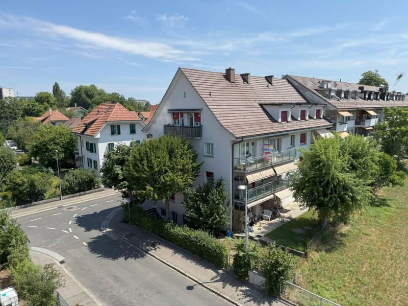 Living in Bern in a very beautiful, sunny, and quiet neighborhood with a lot of green spaces (17)