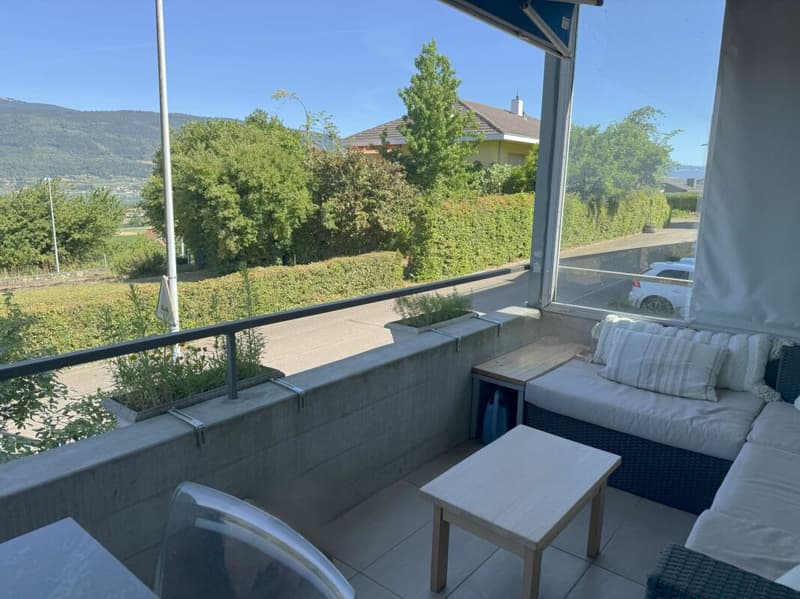 Sonne und Seesicht unweit von Biel (2)