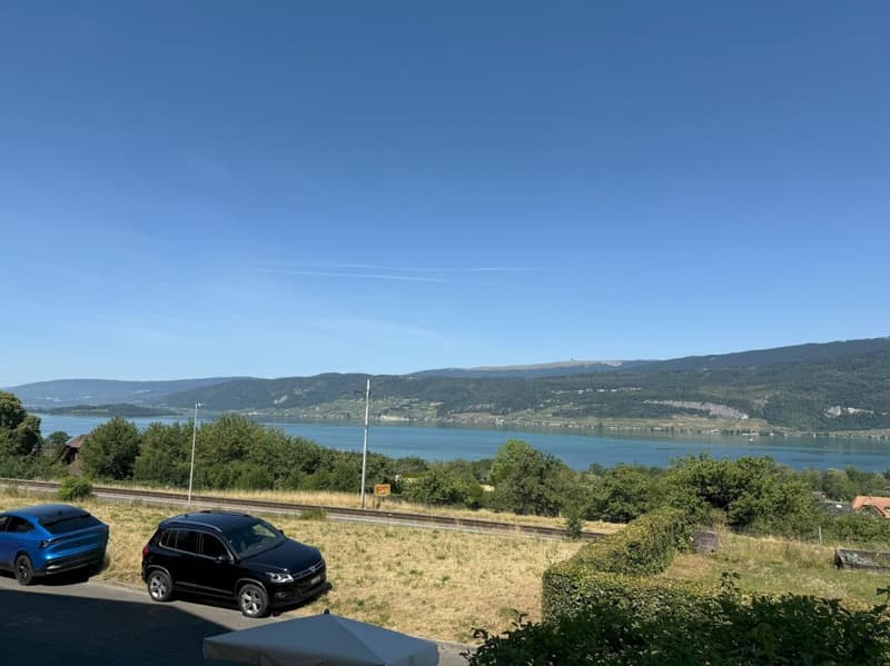 Sonne und Seesicht unweit von Biel (21)