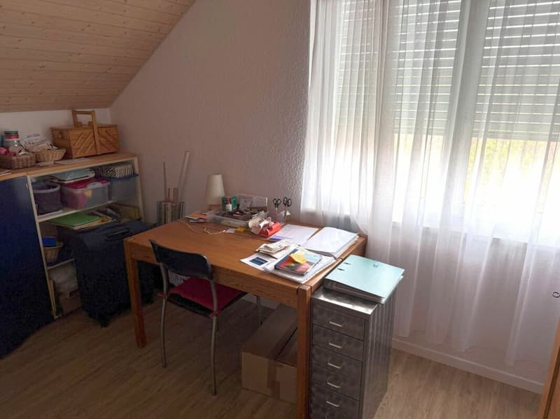 Attikawohnung mit viel Sonne und attraktiver Fernsicht (13)