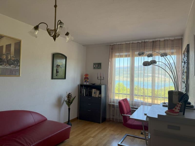 unverbaubare Sicht über weite Teile des Bielersees (11)