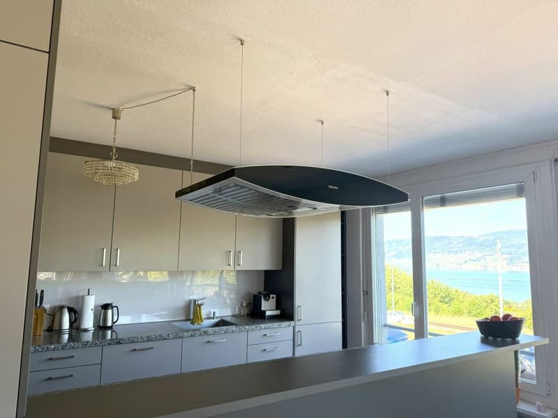 unverbaubare Sicht über weite Teile des Bielersees (4)