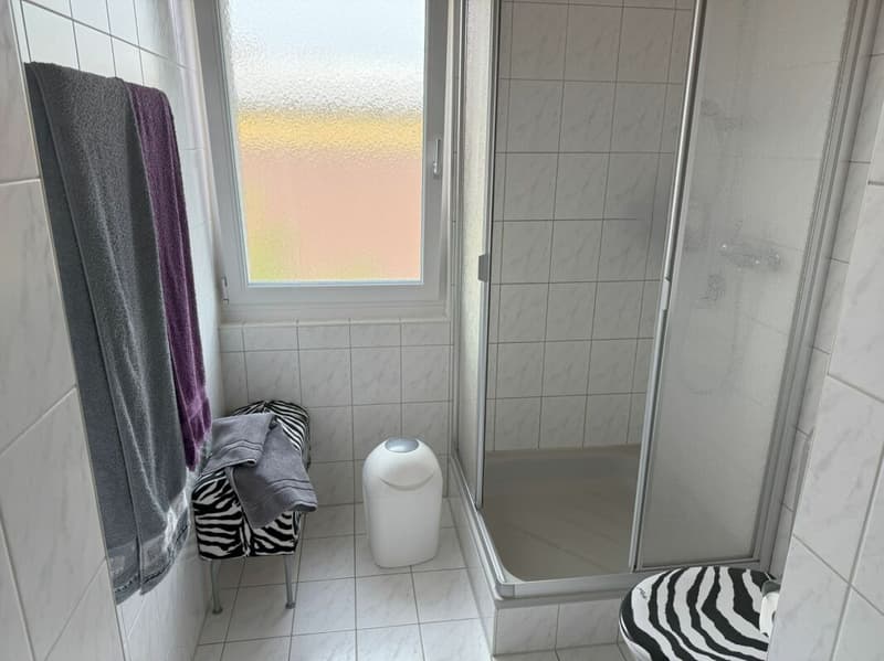 5.5-Zimmer-Attikawohnung mit rund 140 m2 Nettowohnfläche, m2 Nettowohnfläche, viel Sonne und attraktive Fernsicht (16)