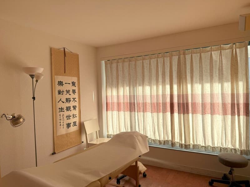 Etablierte TCM- und Naturheilpraxis mit Patientenstamm - Nachfolge gesucht (13)