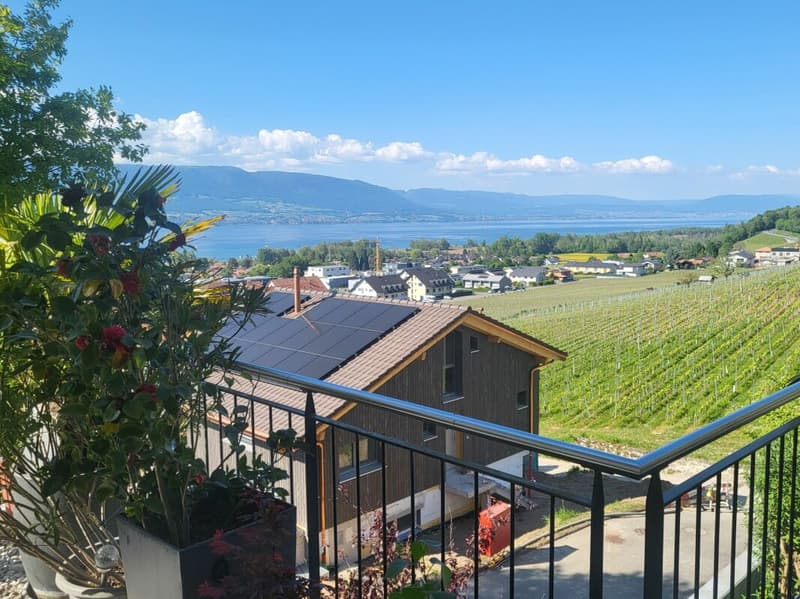 Villa de haut standing (2)