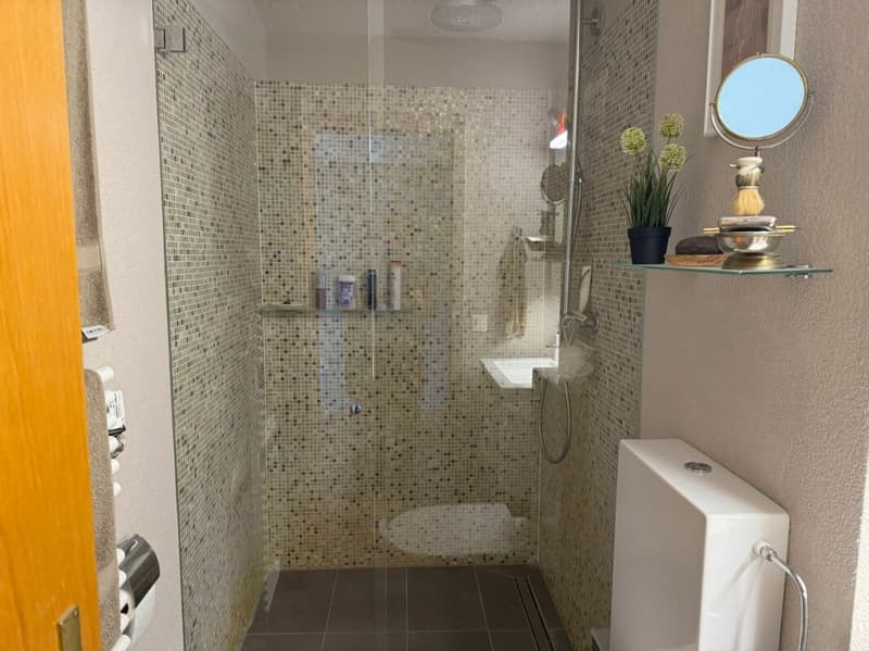 4.5-Zimmer-Wohnung mit viel Seesicht und oberhalb der Hauptstrasse (14)