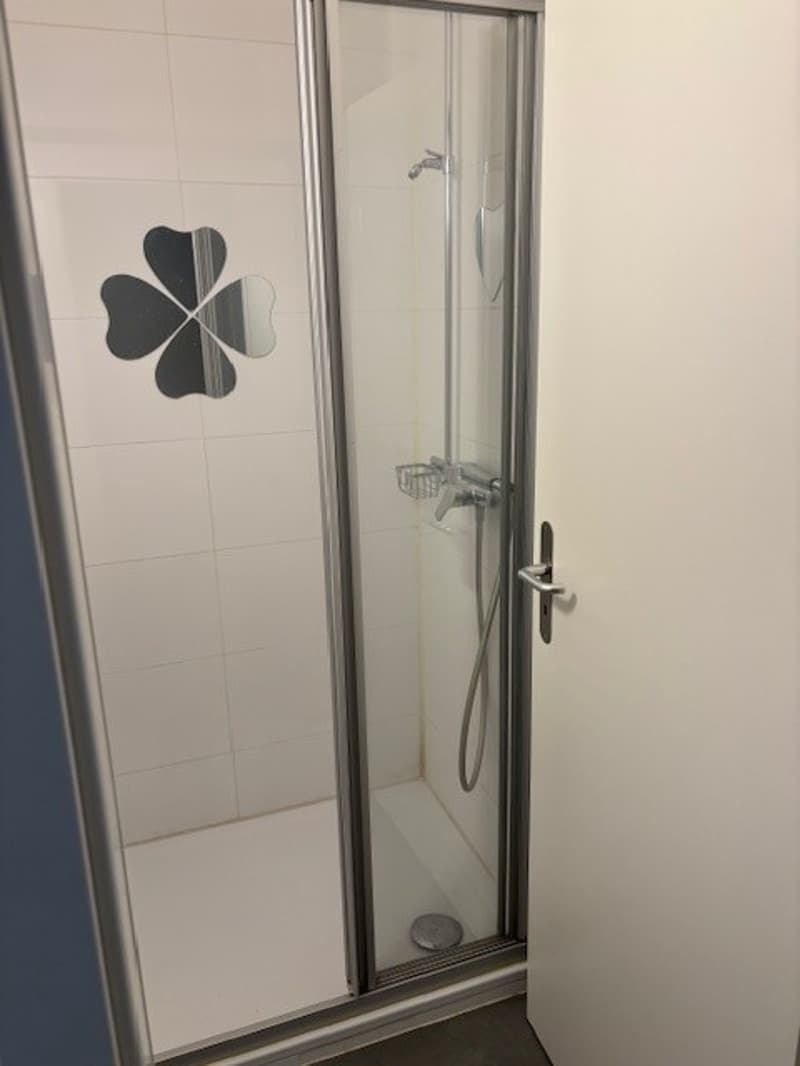 shower room with shower, glass door, shampoo holder, and drain