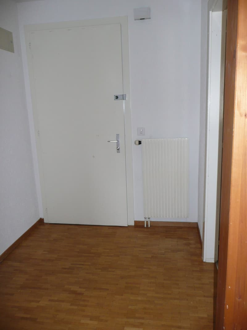 Grande appartamento di 2,5 locali con balcone e vista panoramica (3)