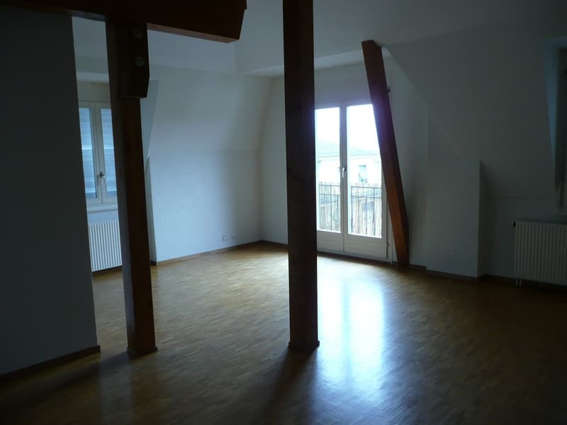 Grande appartamento di 2,5 locali con balcone e vista panoramica (5)