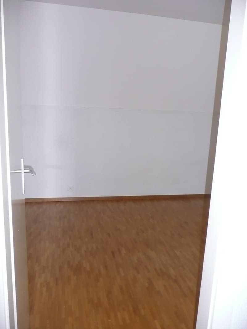 Grande appartamento di 2,5 locali con balcone e vista panoramica (11)