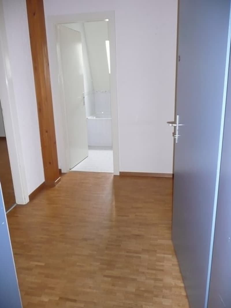 Grande appartamento di 2,5 locali con balcone e vista panoramica (2)