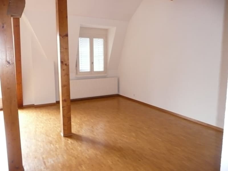 Grande appartamento di 2,5 locali con balcone e vista panoramica (4)