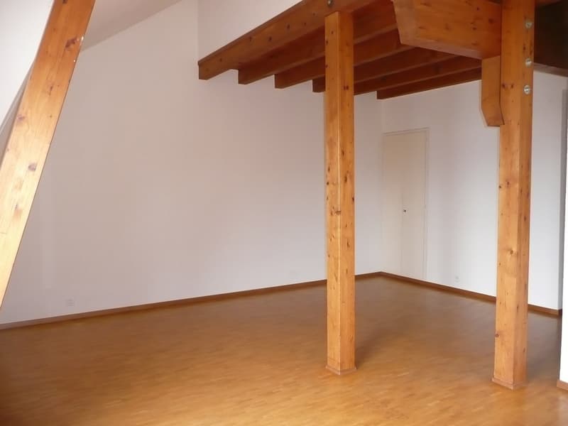 Grande appartamento di 2,5 locali con balcone e vista panoramica (6)