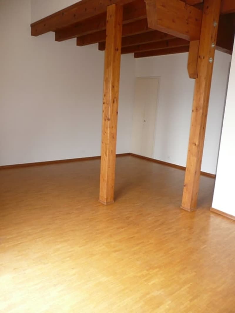 Grande appartamento di 2,5 locali con balcone e vista panoramica (7)