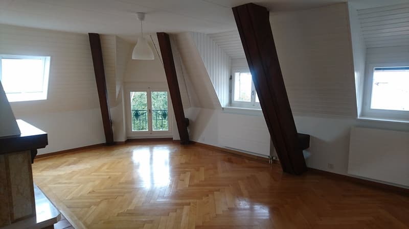 Charmanter Apartment mit 2 Zimmern im 5. Stock in Lausanne (1)