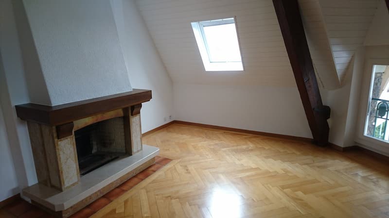 Charmanter Apartment mit 2 Zimmern im 5. Stock in Lausanne (2)