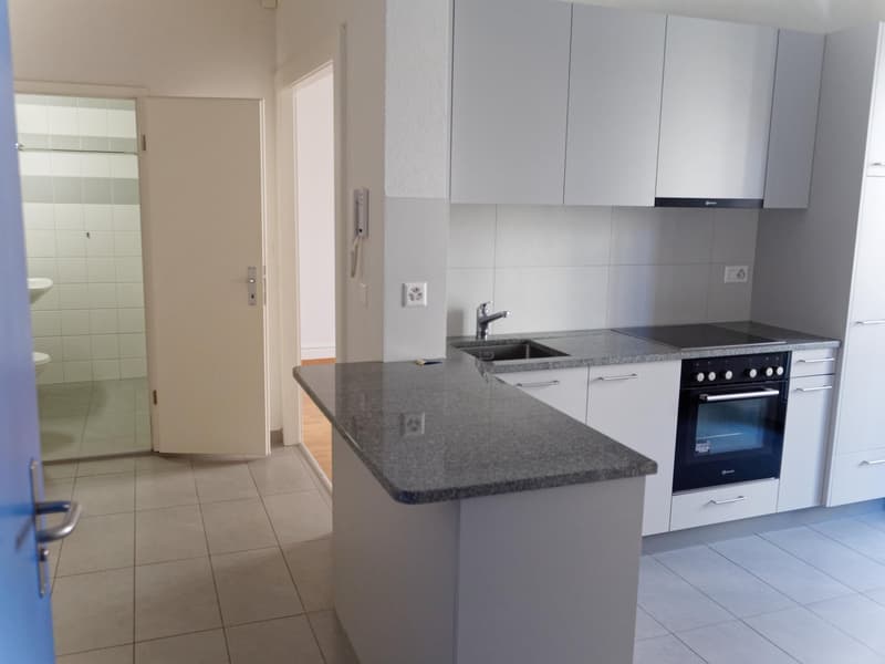 Helles 2.5-Zimmer-Wohnung zur Miete – Lausanne, av. de la Dôle (1)