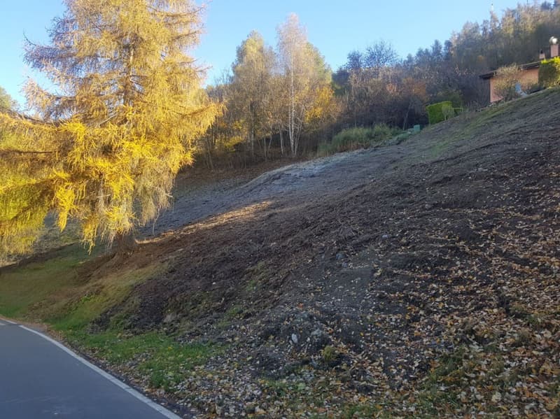 Parcelle à bâtir (2)