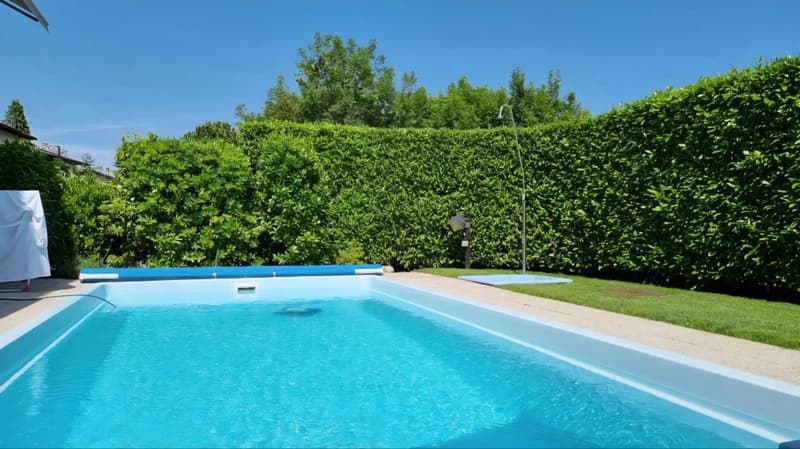 Rectangular swimming pool, surrounded by a hedge, with a grassy area and a white cloth on the left side