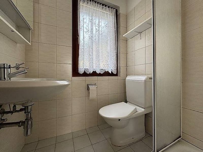 Acquarossa/Motto 3.5 Zimmer zu vermieten (6)