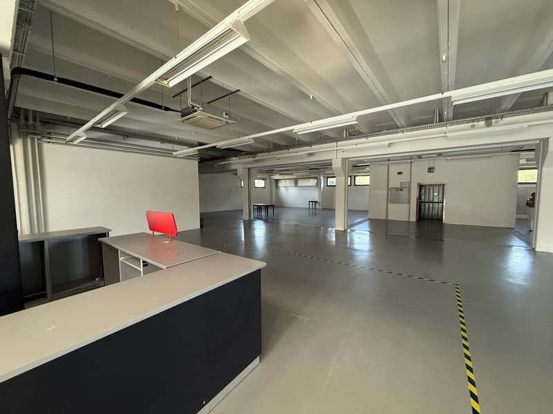 Mendrisio affittiamo ampio stabile commerciale/artigianale con ristorante (4)