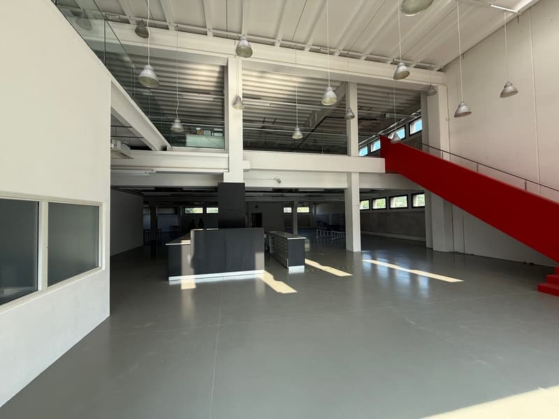 Mendrisio affittiamo ampio stabile commerciale/artigianale con ristorante (2)