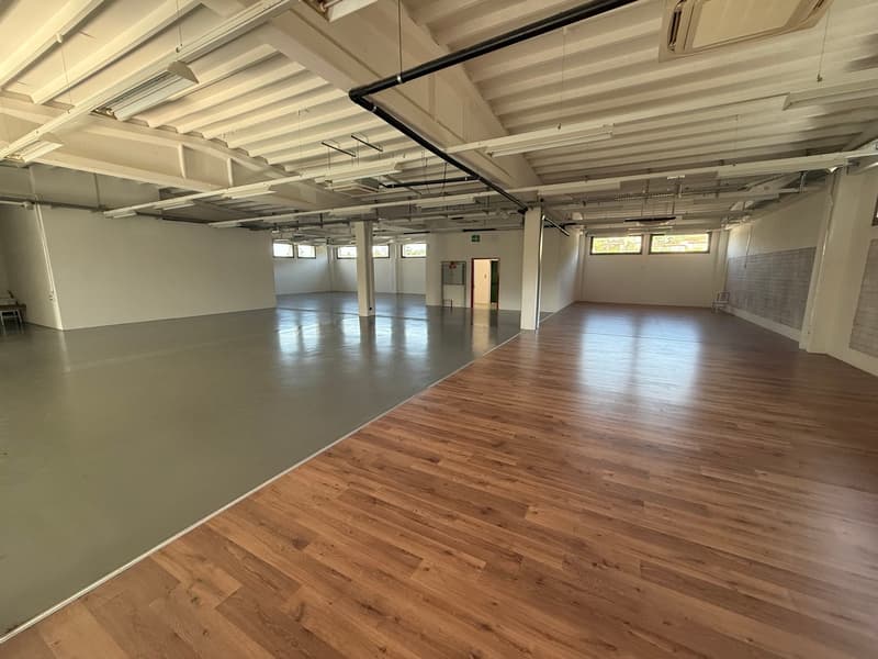 Mendrisio affittiamo ampio stabile commerciale/artigianale con ristorante (7)
