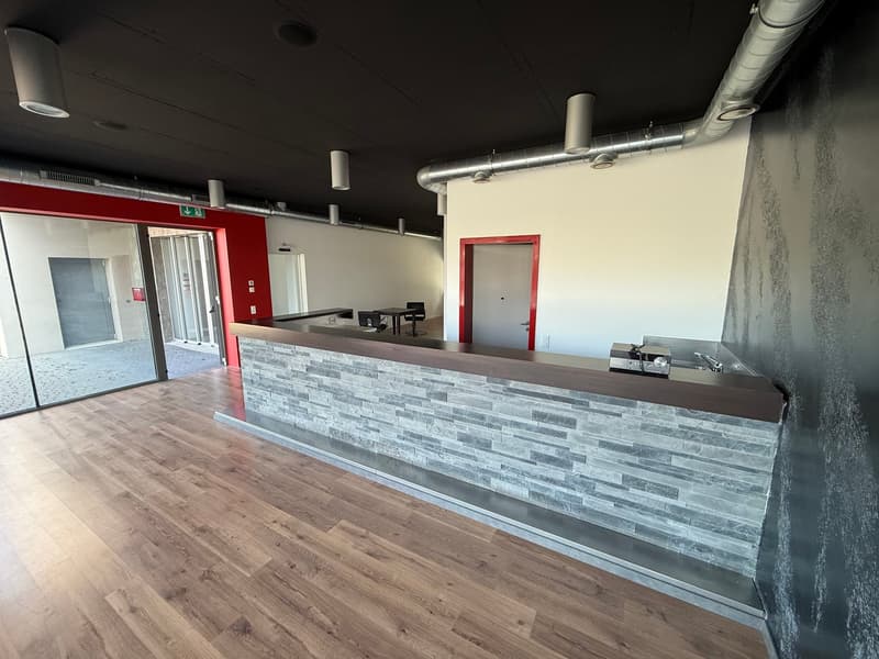 Mendrisio affittiamo ampio stabile commerciale/artigianale con ristorante (10)