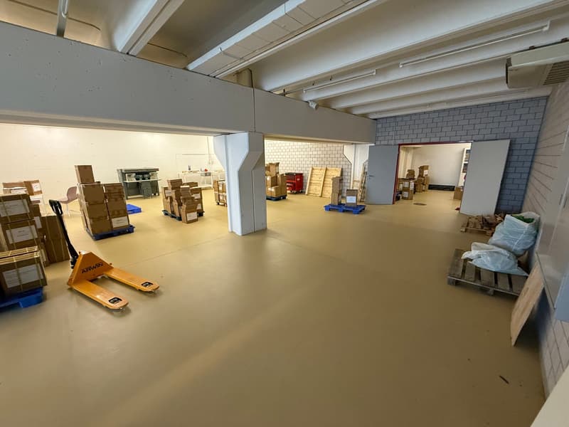Mendrisio affittiamo ampio stabile commerciale/artigianale con ristorante (8)