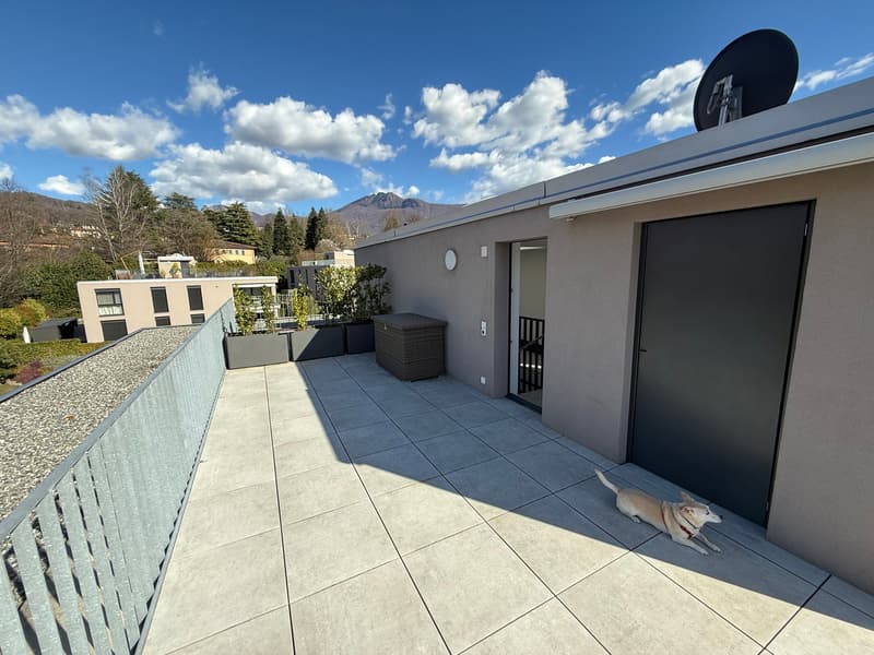 Cureglia - Sale bright 2.5-room apartment (8)