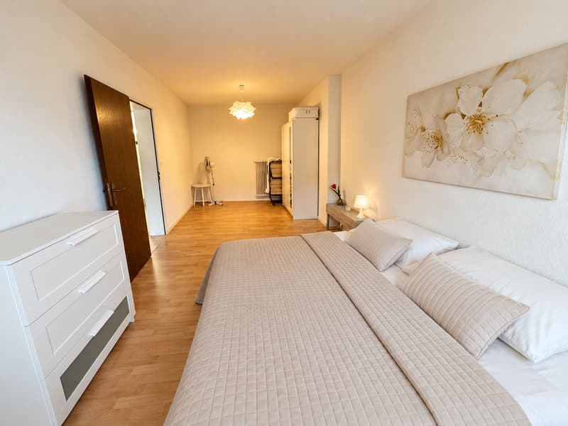Brissago affittiamo 2.5 locali ammobiliato (5)