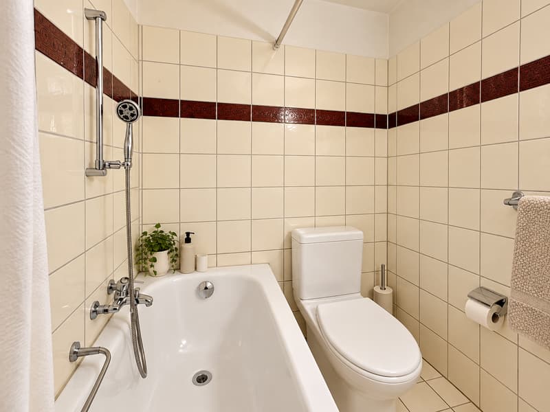 Brissago affittiamo 2.5 locali ammobiliato (6)