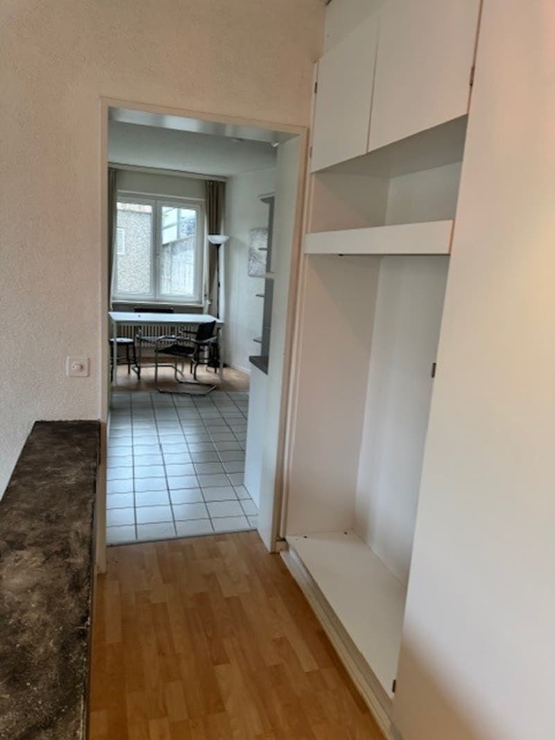 Brissago affittiamo 2.5 locali ammobiliato (3)