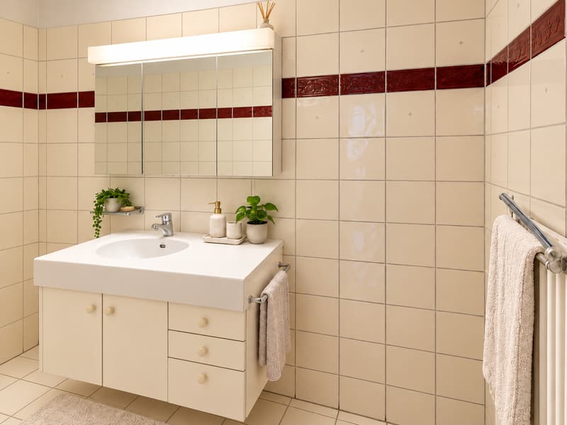 Brissago affittiamo 2.5 locali ammobiliato (7)