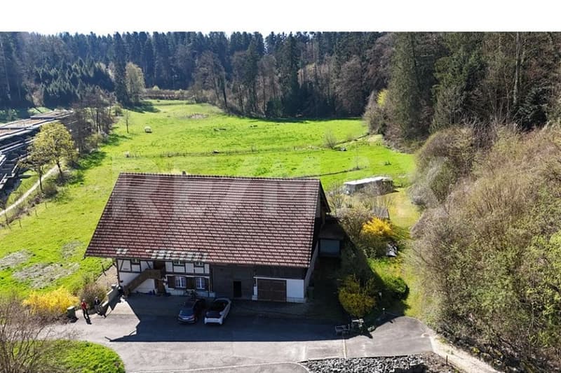 Charming farmhouse with two apartments, large surroundings and versatile potential (5)