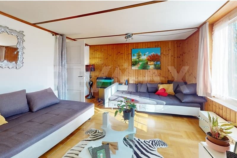 Charming farmhouse with two apartments, large surroundings and versatile potential (2)
