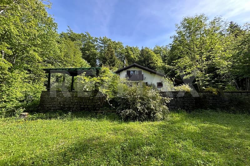 Charmantes Ferienhaus mit grosser Gartenanlage in idyllischer Naturlage (12)