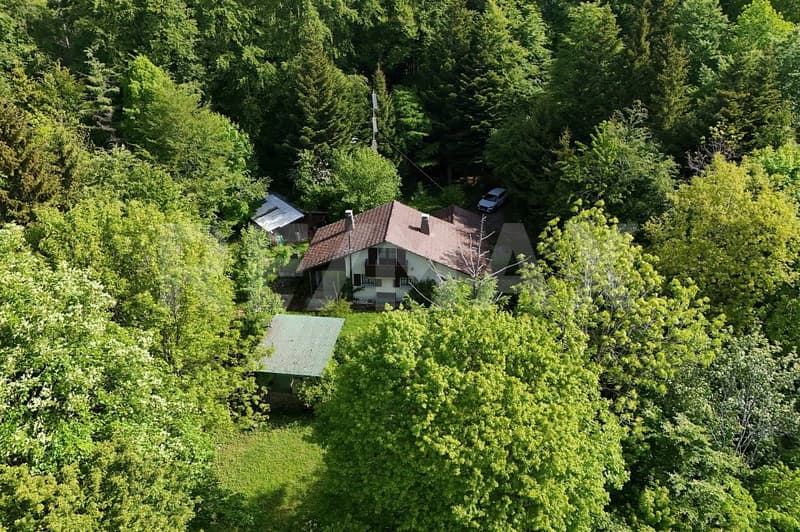 Charmantes Ferienhaus mit grosser Gartenanlage in idyllischer Naturlage (2)