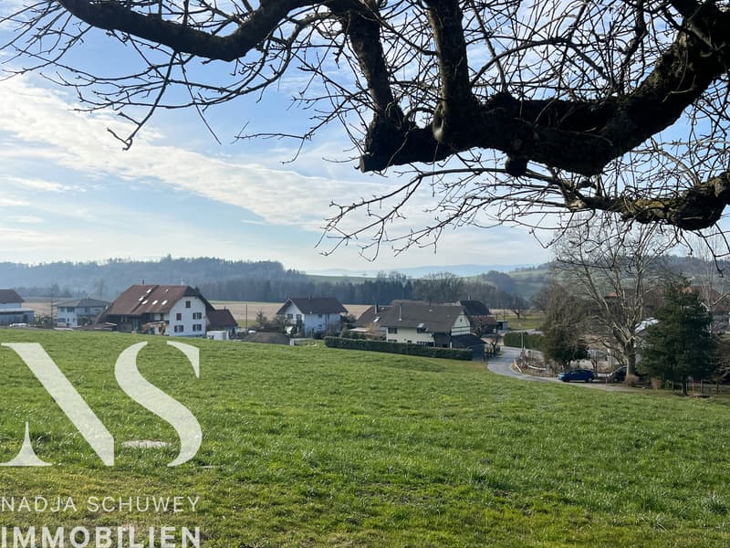 Leben im Grünen - Nur noch ein Haus verfügbar (13)