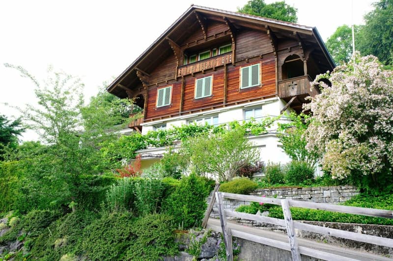 LARGE REAL ESTATE - Charming Chalet with Lake and Mountain View in Goldiwil (2)